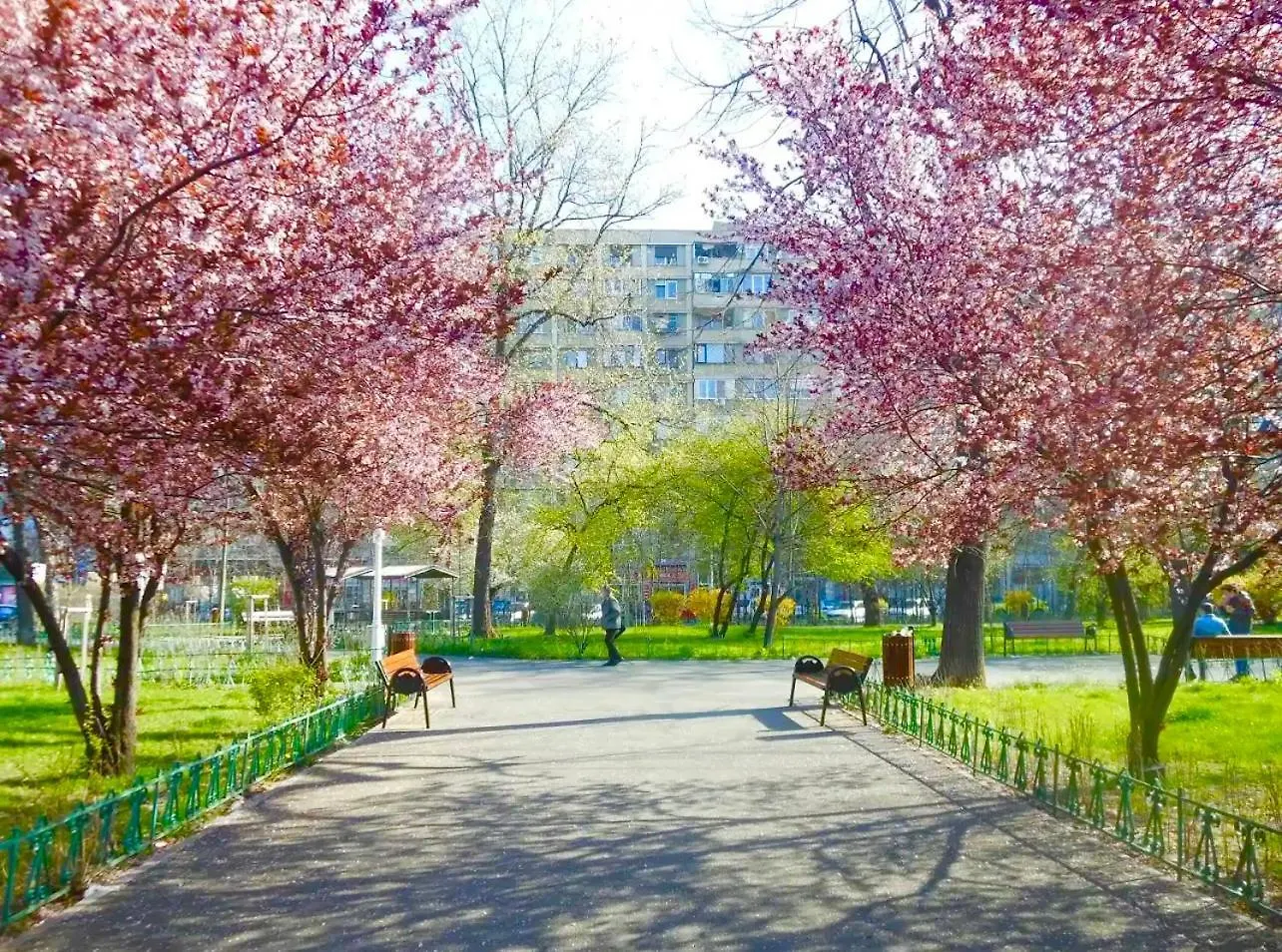 North Star Apartaments Bucureşti România